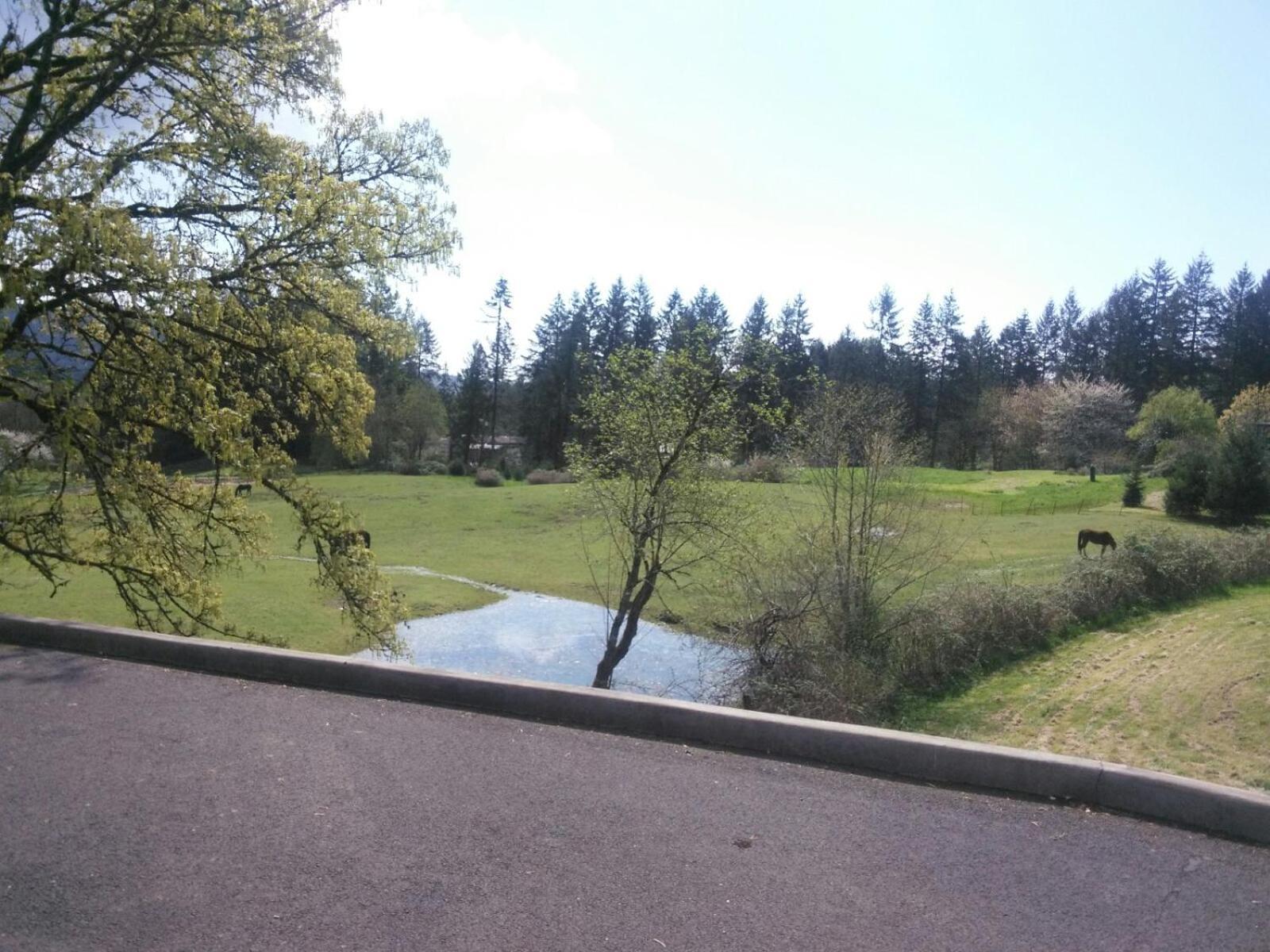Vancouver Wa Beautiful Apartment Woodland Exterior foto