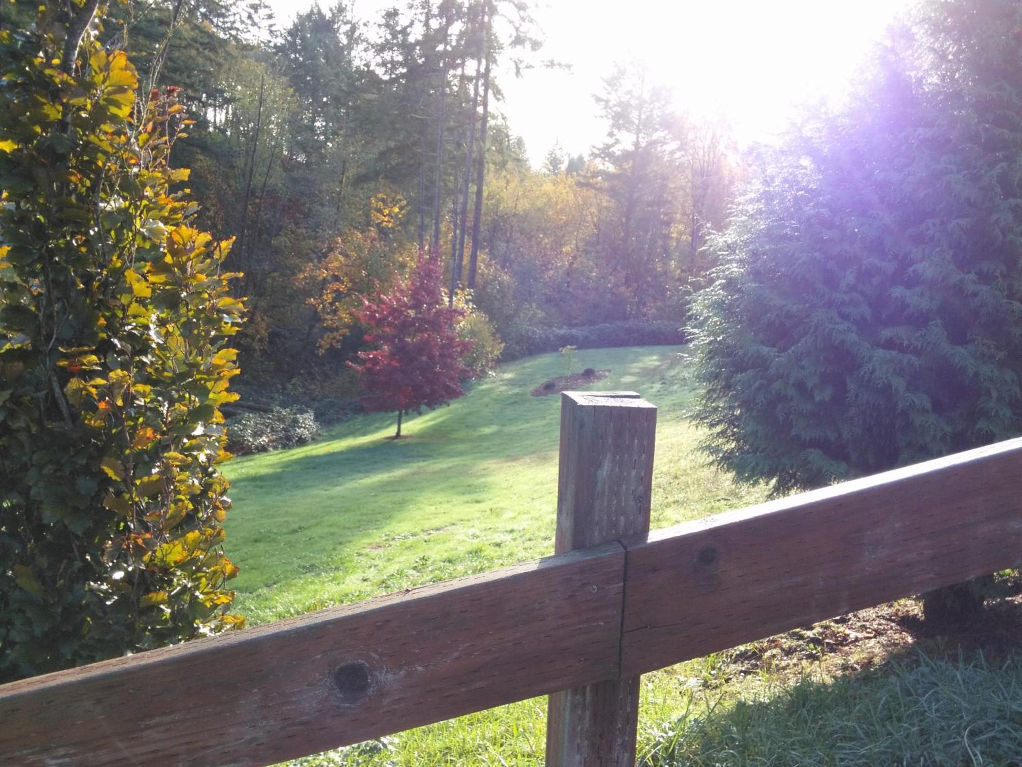 Vancouver Wa Beautiful Apartment Woodland Exterior foto